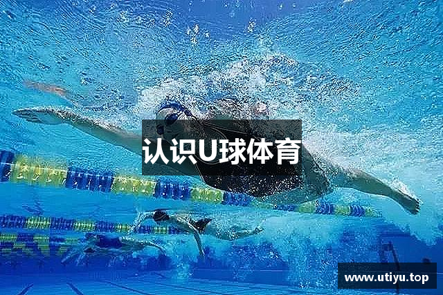 认识U球体育