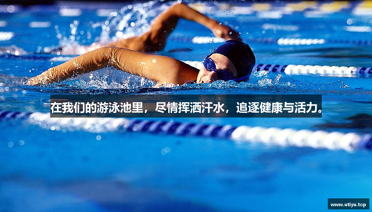 在我们的游泳池里，尽情挥洒汗水，追逐健康与活力。